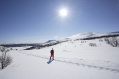 Oplevelser på langrendsski - og i langrends-områder i Norge, Sverige, Frankrig og Finland.