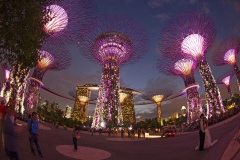 Singapore Bystat