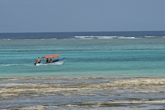 Karrafu_Zanzibar