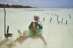 Seaweed_Zanzibar