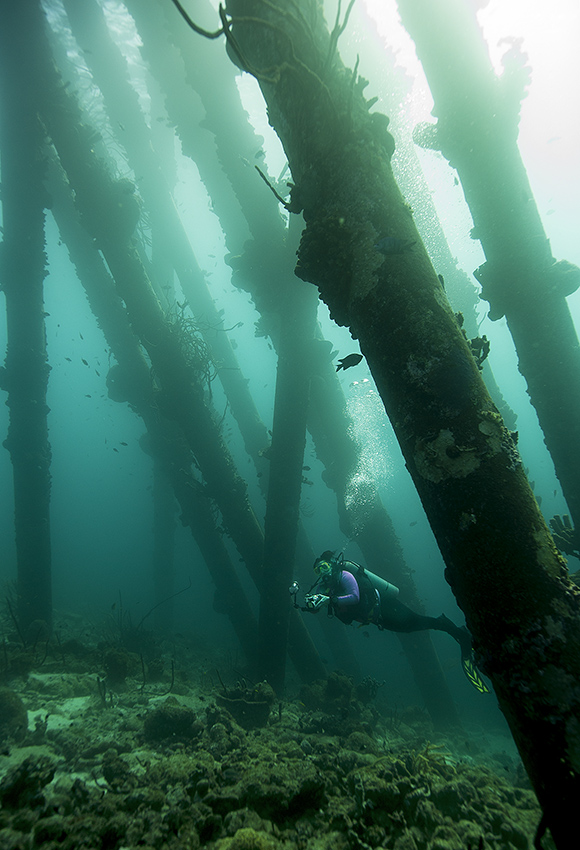 pillar-diving